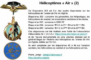 203- ARMEE DE L'AIR EN ALGERIE 1945-1962-51 (1)